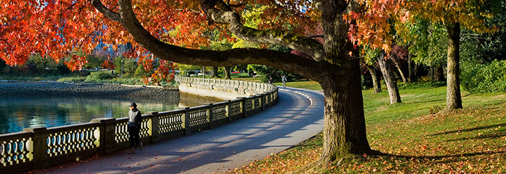 Stanley Park Seawall in autumn Stanley Park Seawall in autumn