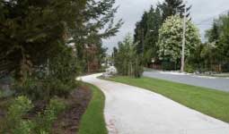 Paved path next to greenery and a road